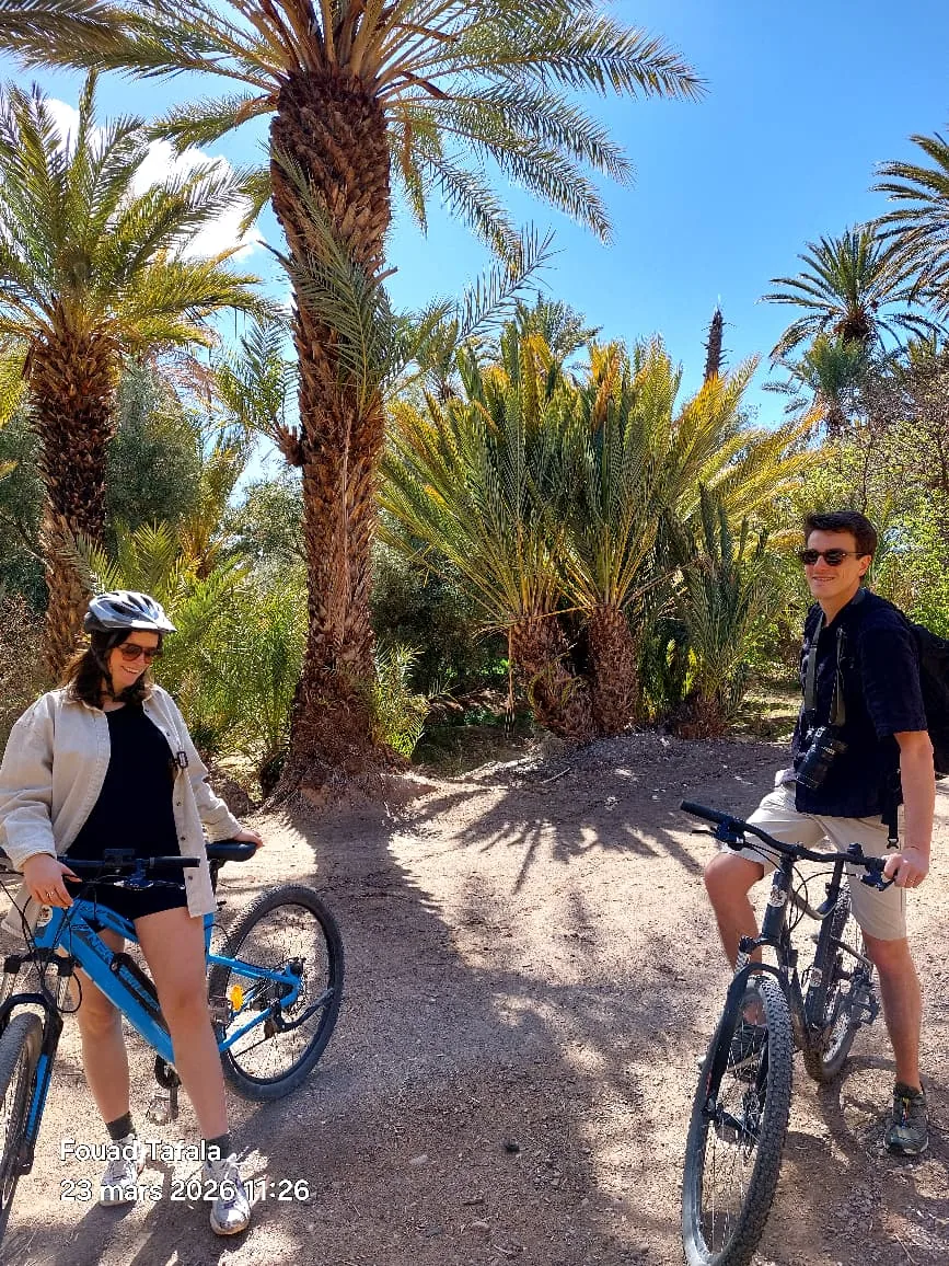 Half-day private VTT tour