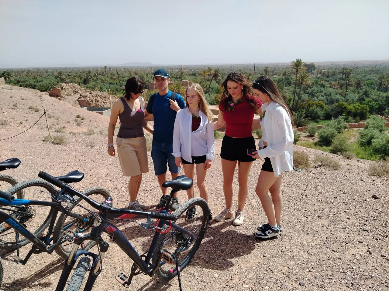 Full-day guided bike tour