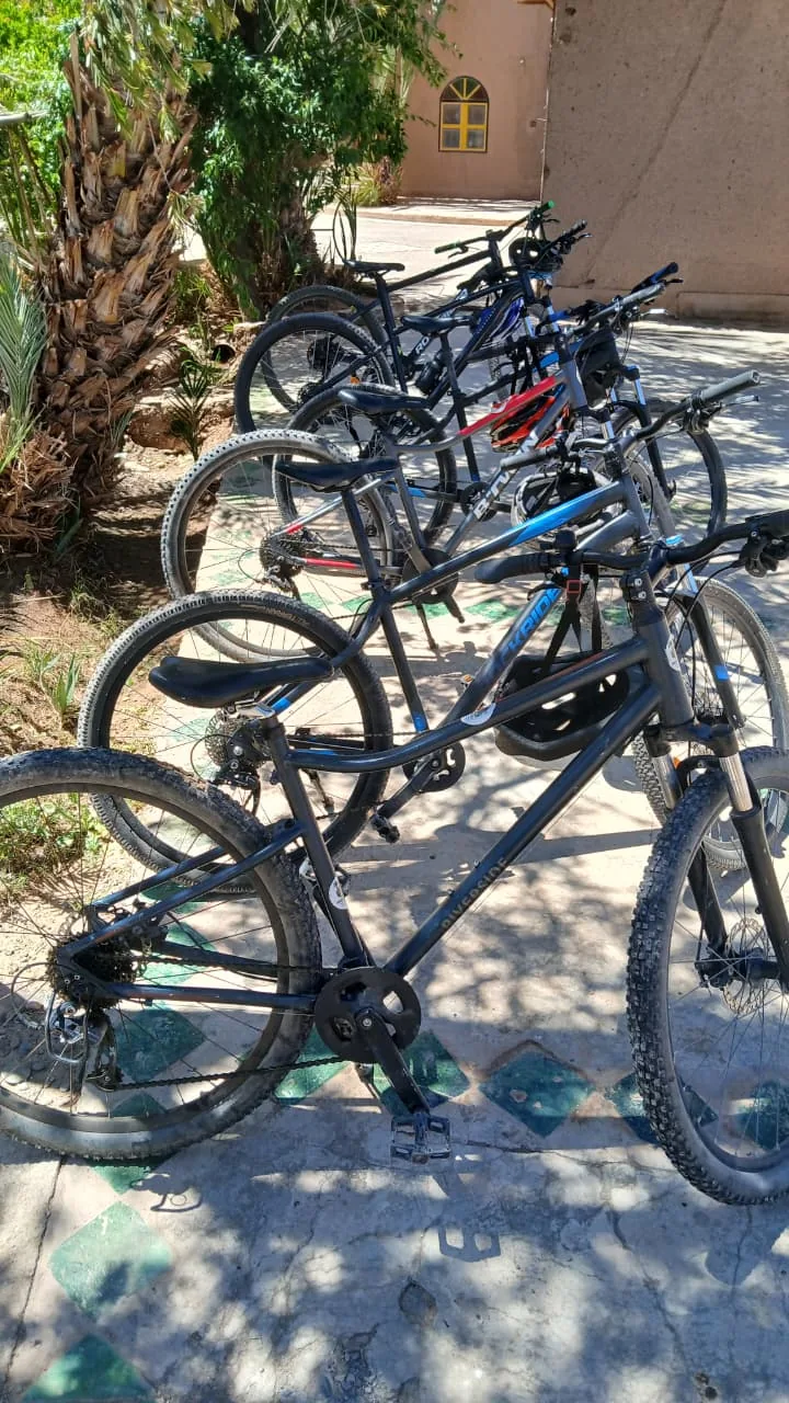 Bike rental