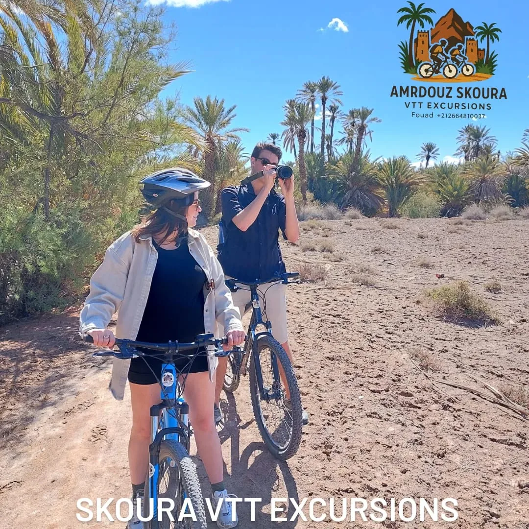 Half-day guided E-bike tour