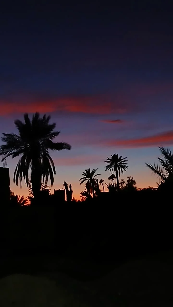Expérience coucher de soleil dans la palmeraie